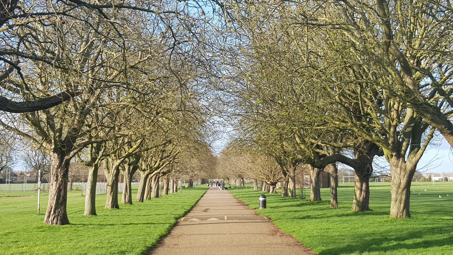 Tree-lined walk and open green space in Southbury